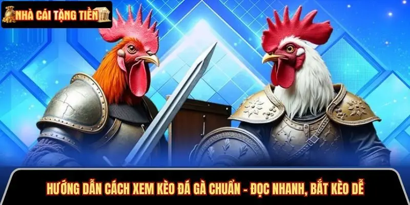 Hướng dẫn cách xem kèo đá gà chuẩn nâng cao, dễ thắng