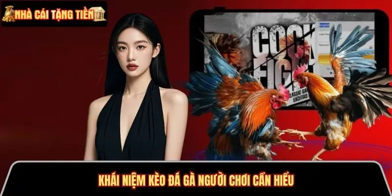 Khái niệm kèo đá gà người chơi cần hiểu
